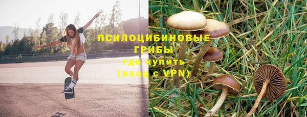 скорость Алексин