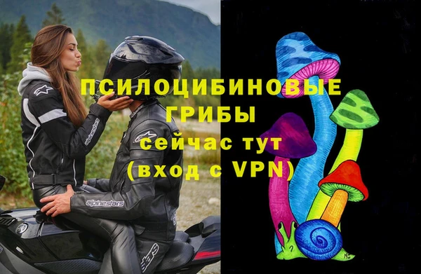 трава Абинск
