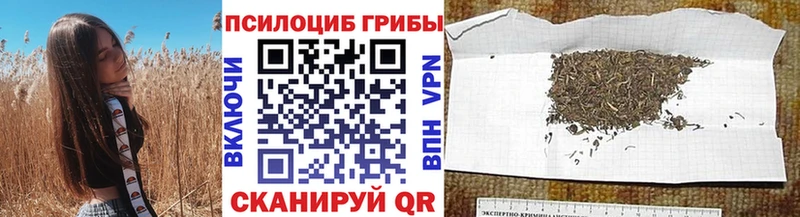 Псилоцибиновые грибы мицелий Кызыл