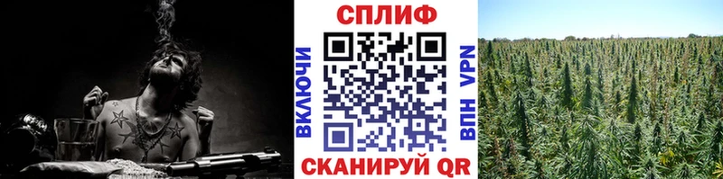 Каннабис OG Kush Кызыл